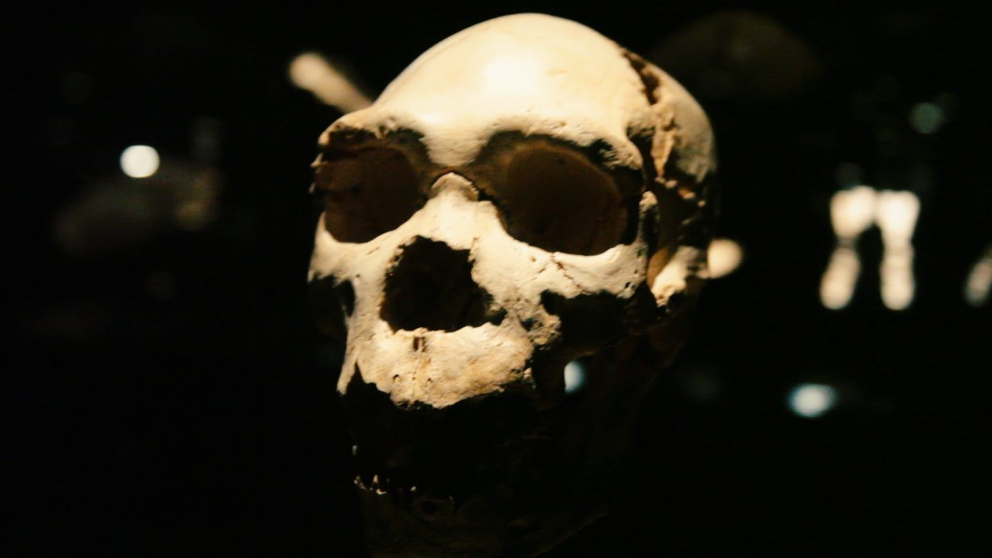 El cráneo de Miguelón.