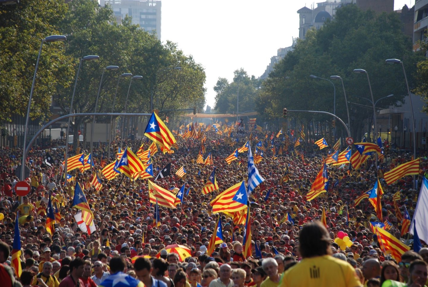 Banderas independentistas durante una concentración con motivo del día de Cataluña.