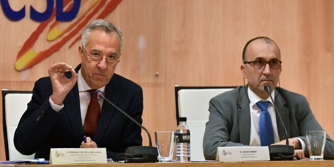 Fernando Puig de la Bellacasa, en una comparecencia en la sede del Consejo Superior de Deportes.