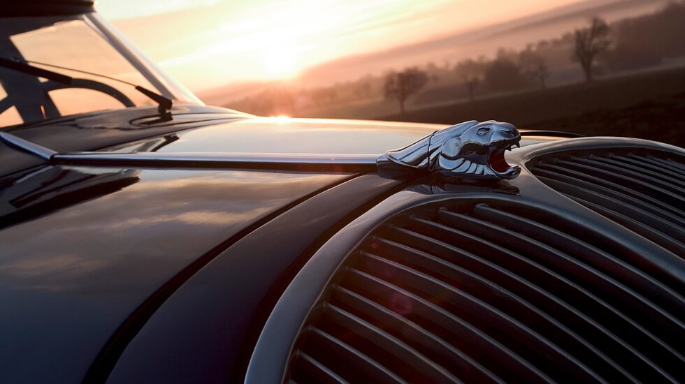 Calandra del Peugeot 402 con el león emblema de la marca