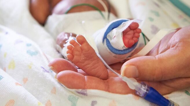 Un vientre artificial para crecer bebés prematuros