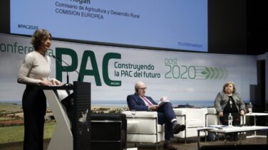 Tejerina reconoce que "no es todavía el momento" de sacar adelante el impuesto a las bebidas azucaradas