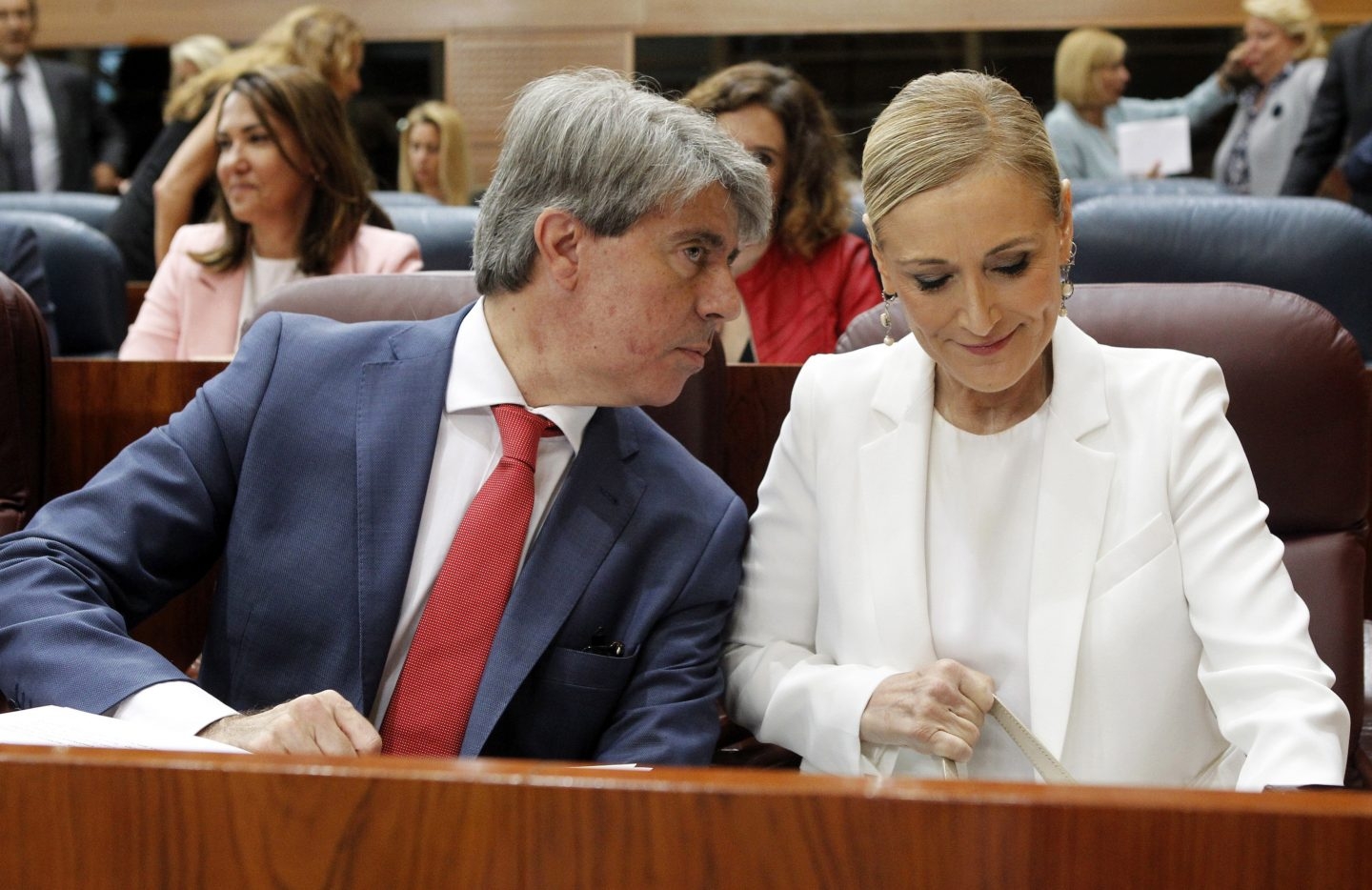 El diputado Ángel Garrido y Cristina Cifuentes, en la Asamblea de Madrid.