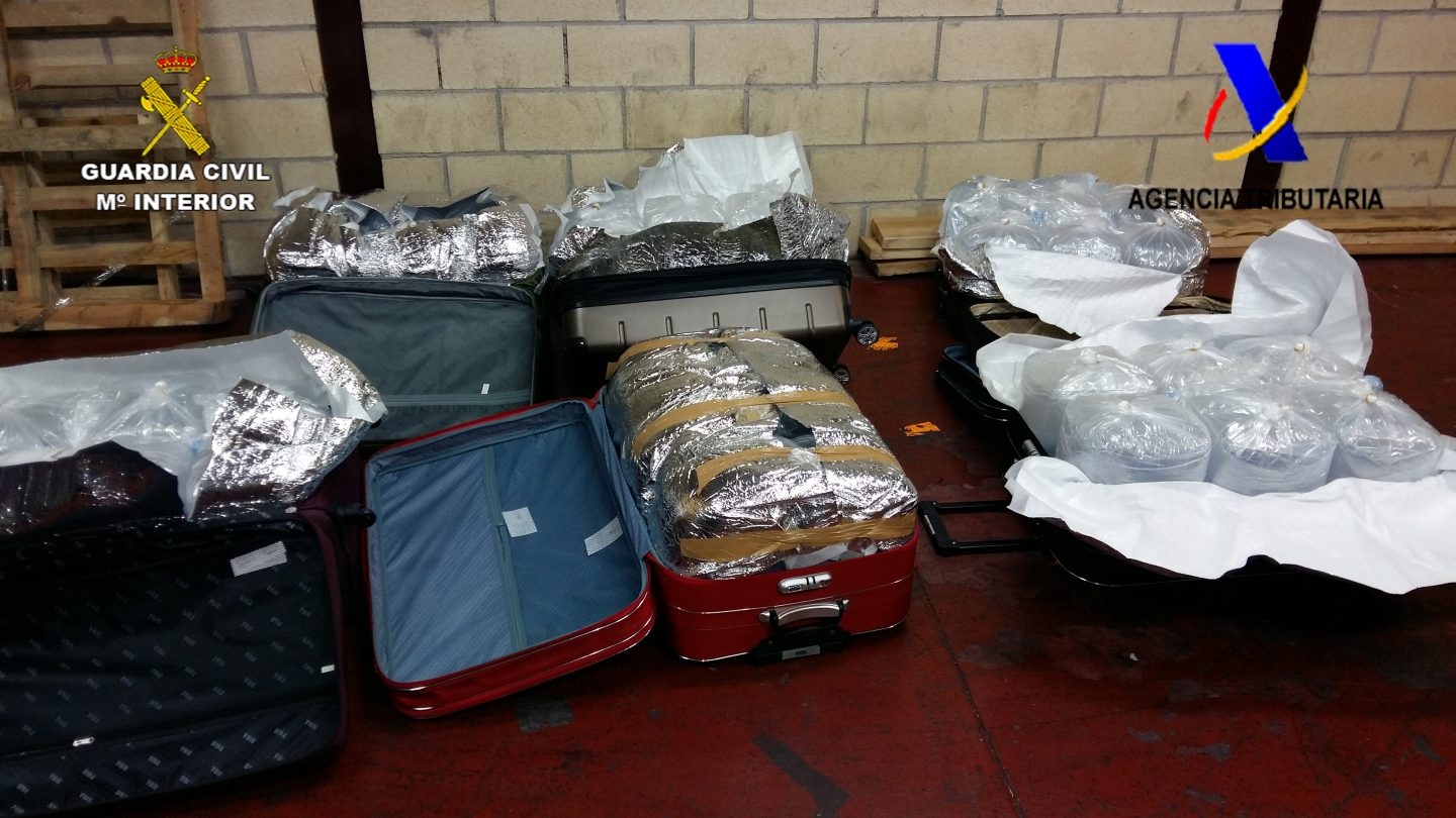 Incautan 40 kilos de angulas vivas ocultas en seis maletas con destino a China