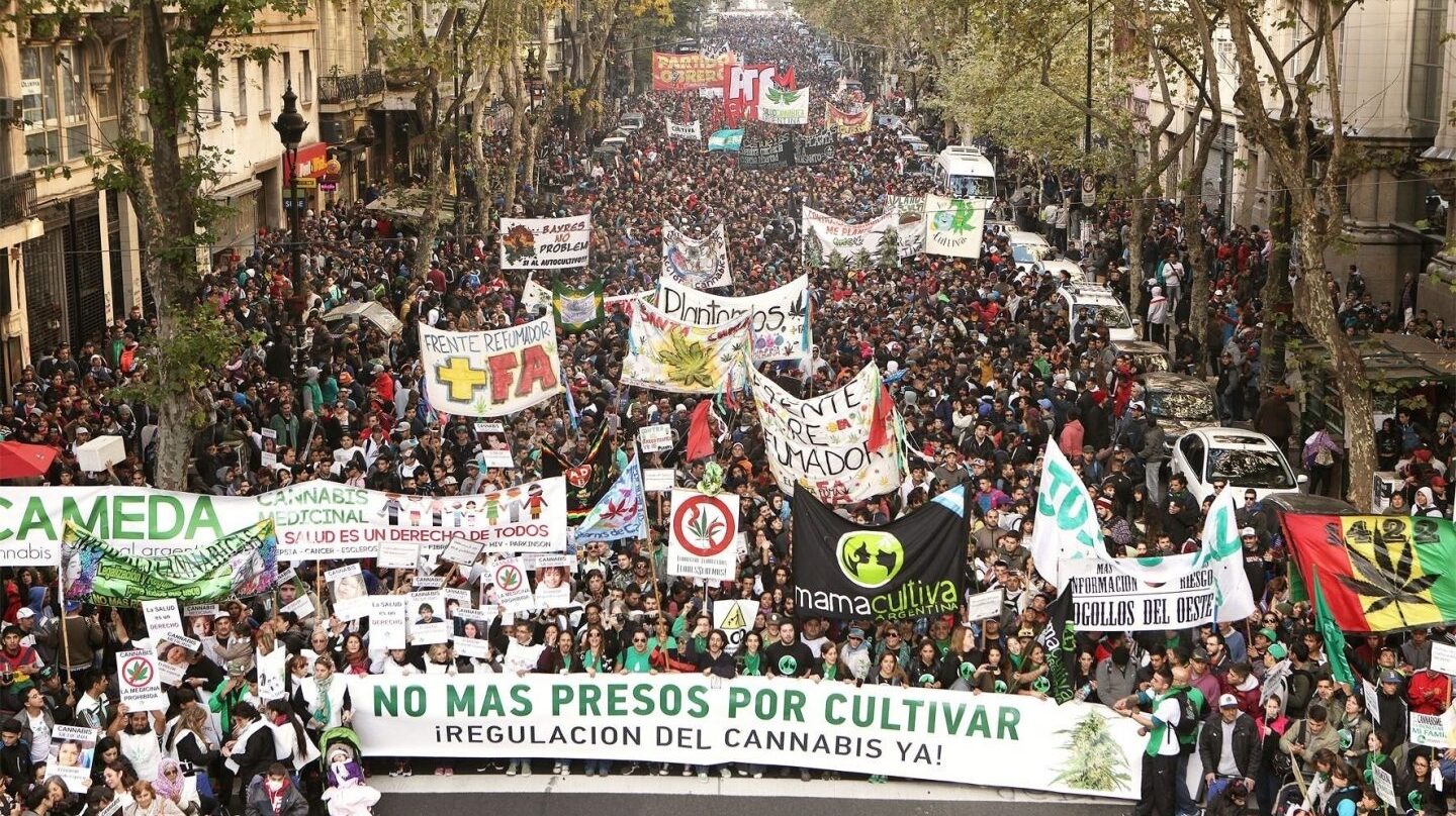 Podemos aboga por la regularización integral del cannabis por su impacto en la economía.