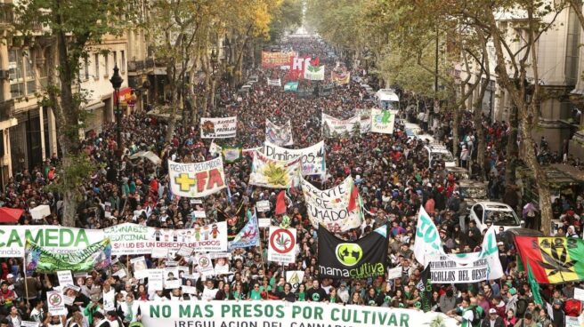 Podemos-cannabis Podemos aboga por la regularización integral del cannabis por su impacto en la economía.