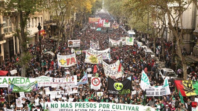 El Parlament aprueba legalizar el cultivo de cannabis