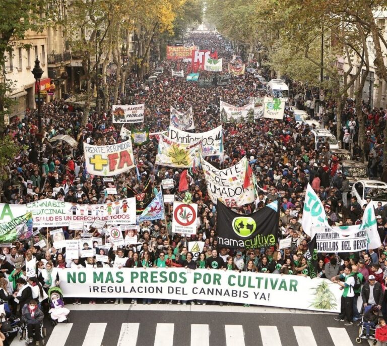 El Parlament aprueba legalizar el cultivo de cannabis