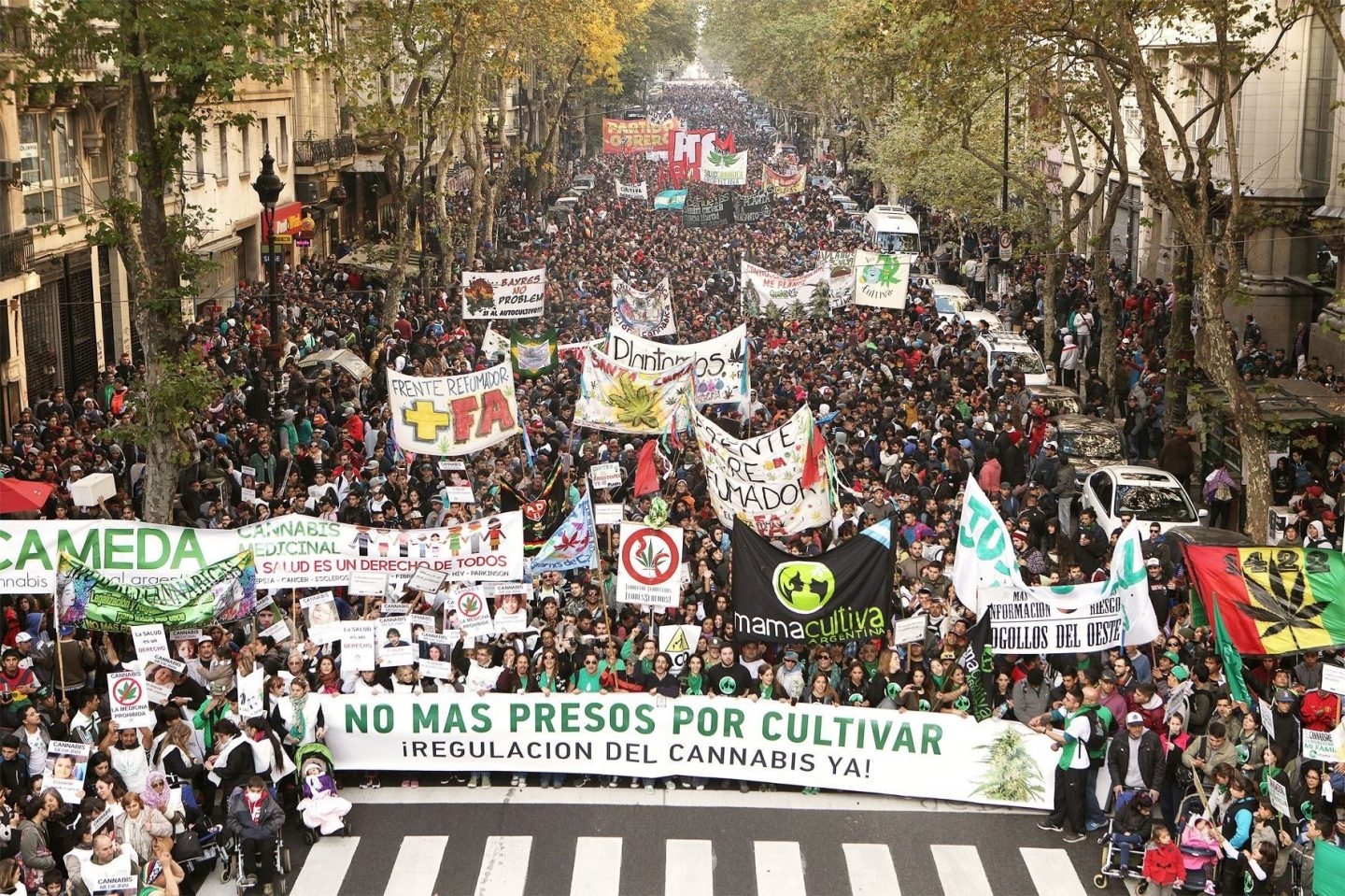 Podemos aboga por la regularización integral del cannabis por su impacto en la economía.