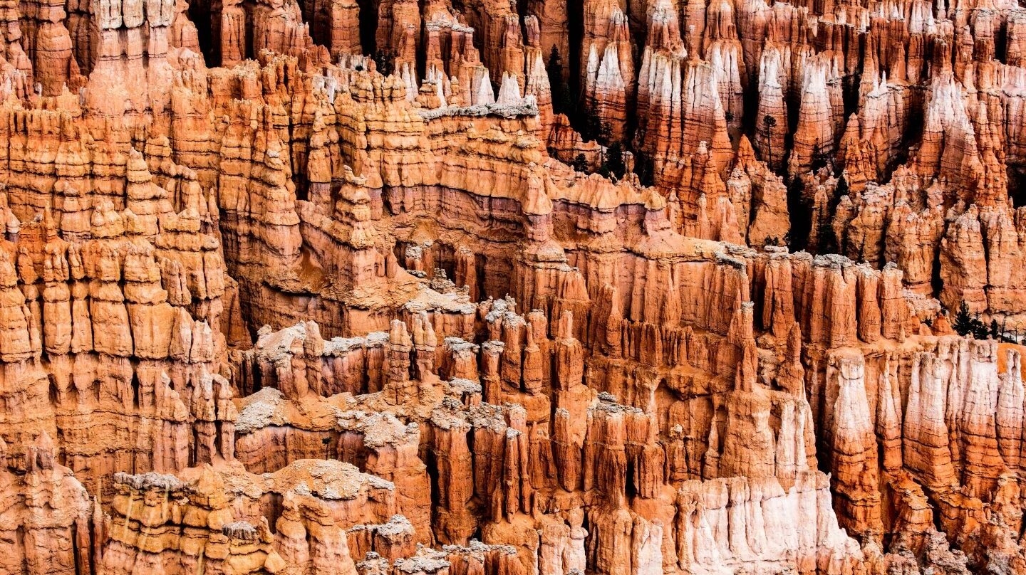 Pío Cabanillas, fotógrafo de naturaleza