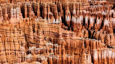 Pío Cabanillas, fotógrafo de naturaleza