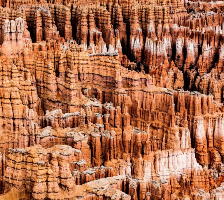 Pío Cabanillas, fotógrafo de naturaleza