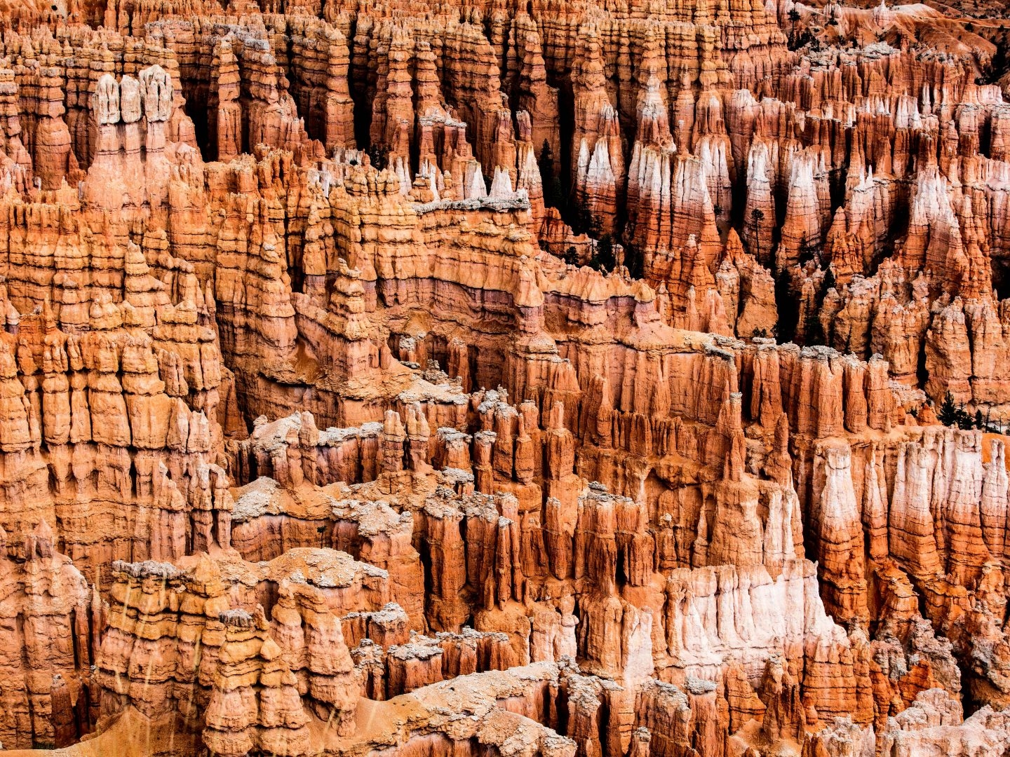 Pío Cabanillas, fotógrafo de naturaleza