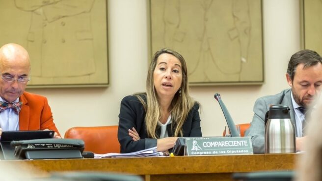 La secretaria de Estado de la Función Pública, Elena Collado, en el Congreso de los Diputados.