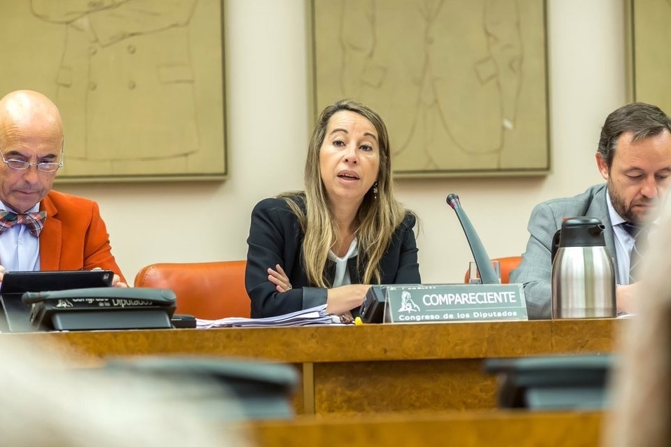 La secretaria de Estado de la Función Pública, Elena Collado, en el Congreso de los Diputados.