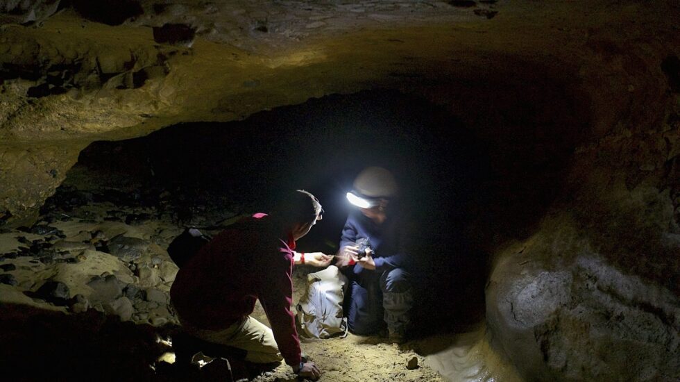 Dos paleoantropólogos tomando muestras.