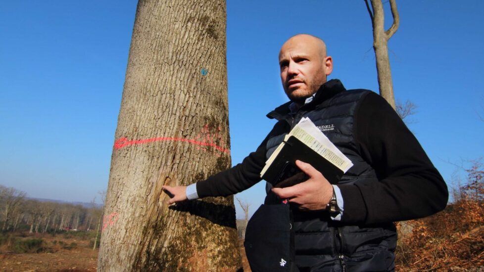 Frédéric Canadell, explotador forestal autorizado, señala el sello con el que marcan los robles que son autorizados para la tala. (Foto: Rafael Ordóñez)