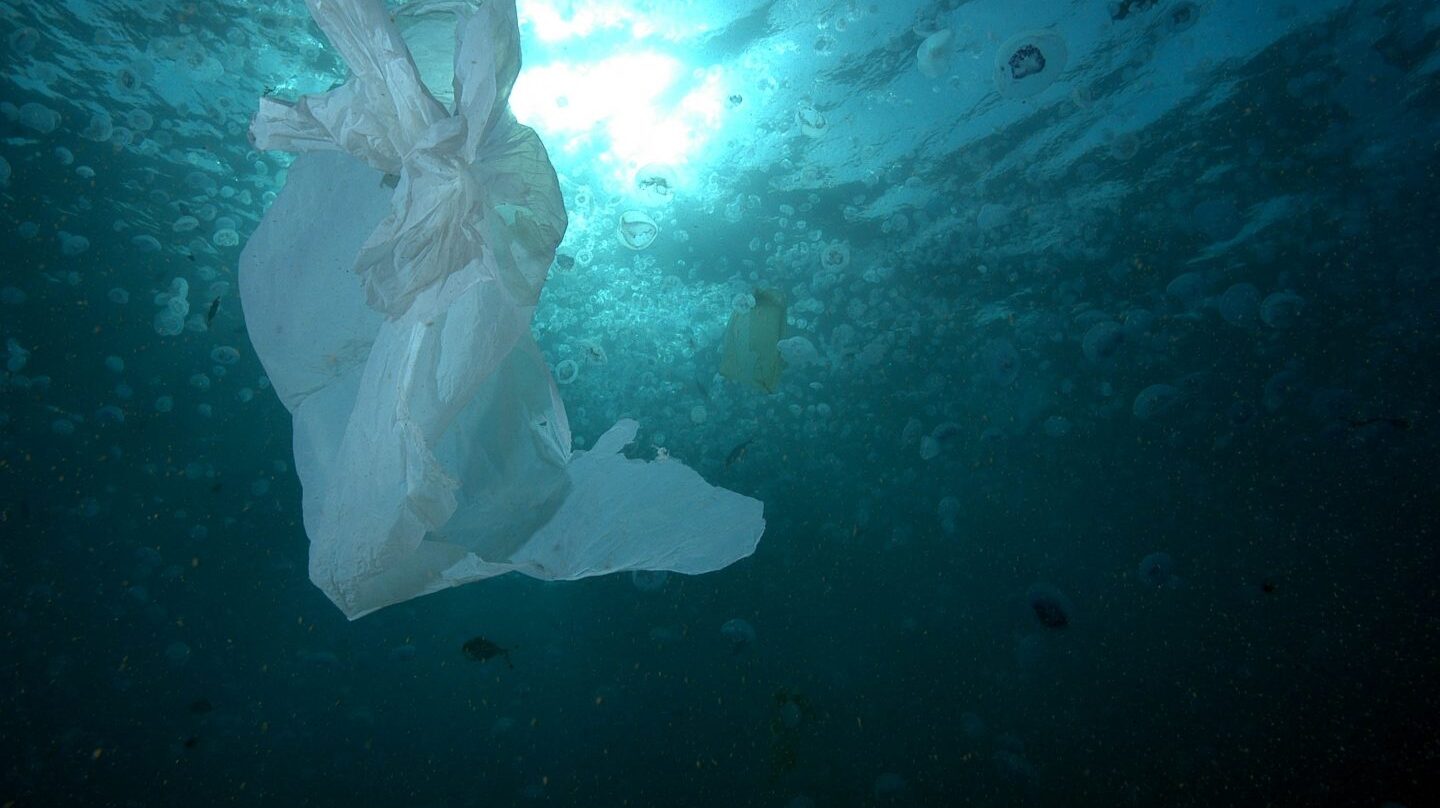 Una bolsa de plástico en el mar