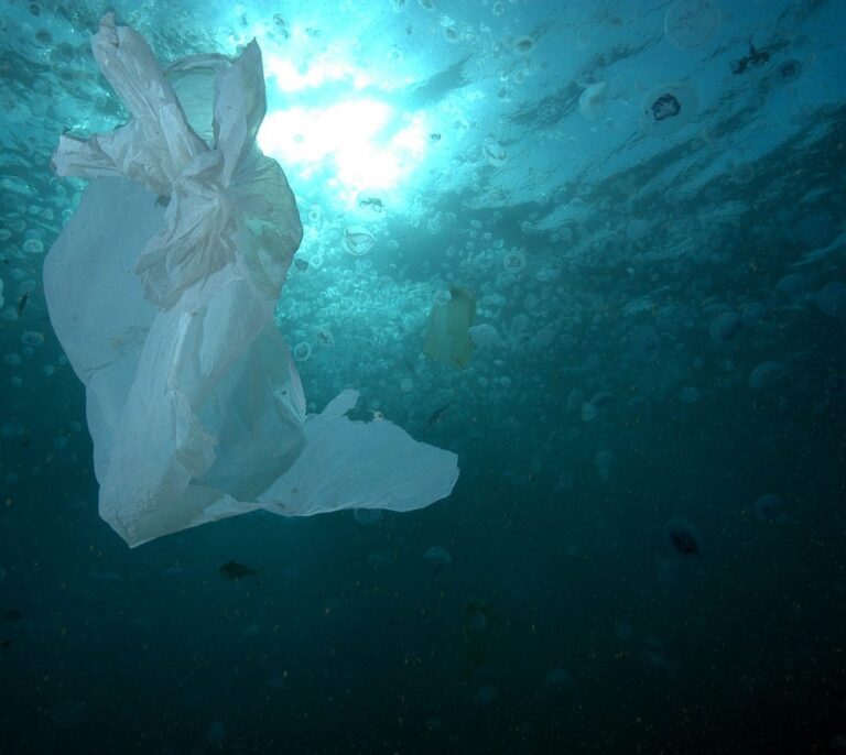Una gran corriente marina llena el Ártico de plásticos