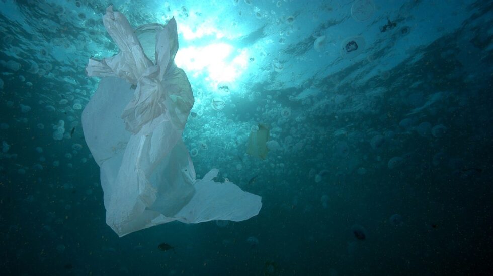 Una bolsa de plástico en el mar