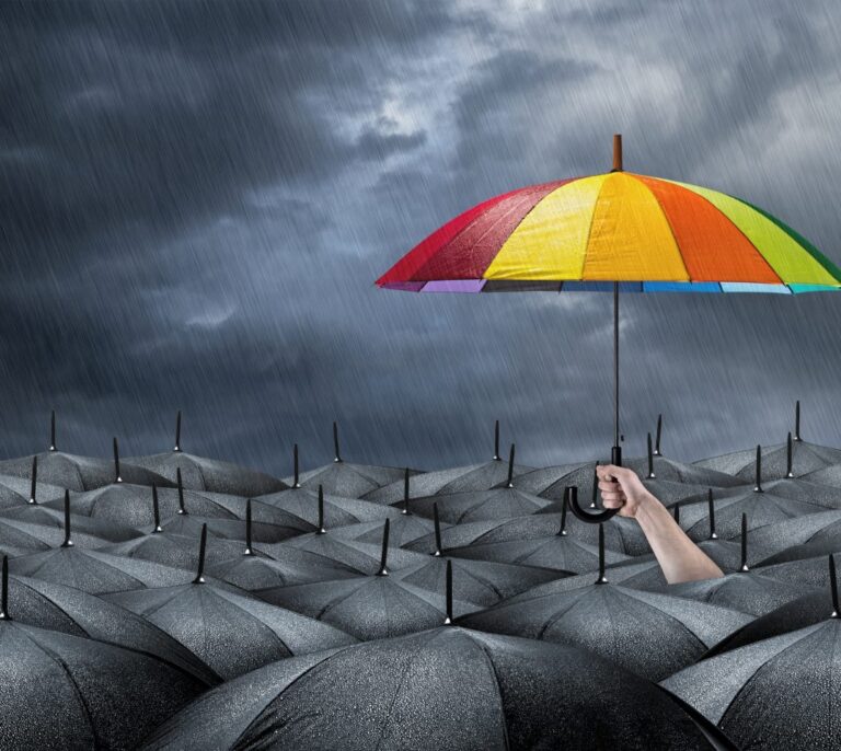 La innovación siempre tiene premio