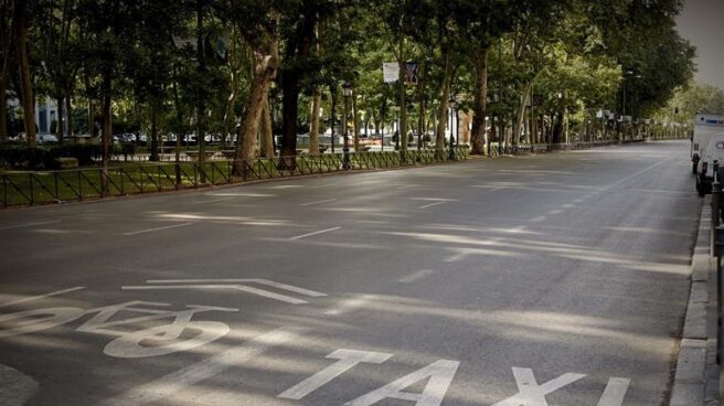 Huelga taxi Paseo del Prado de Madrid a primera hora, sin taxis circulando por la huelga contra Uber y Cabify.