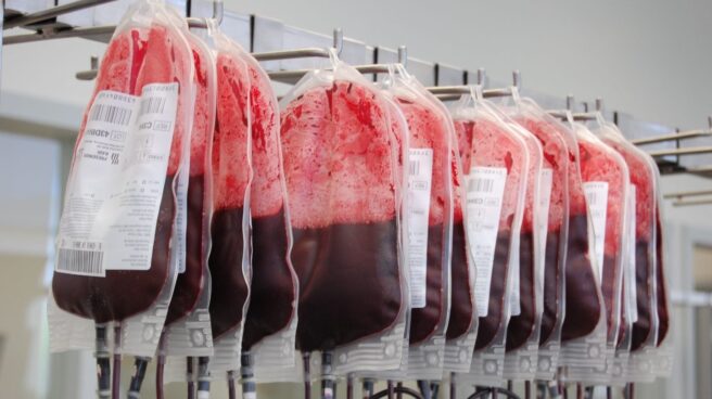 Bolsas con sangre recién donada
