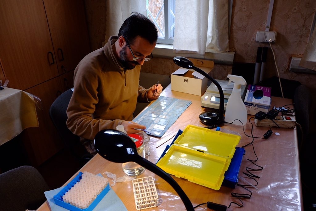 Germán Orizaola analizando ranas en su laboratorio en Chernóbil