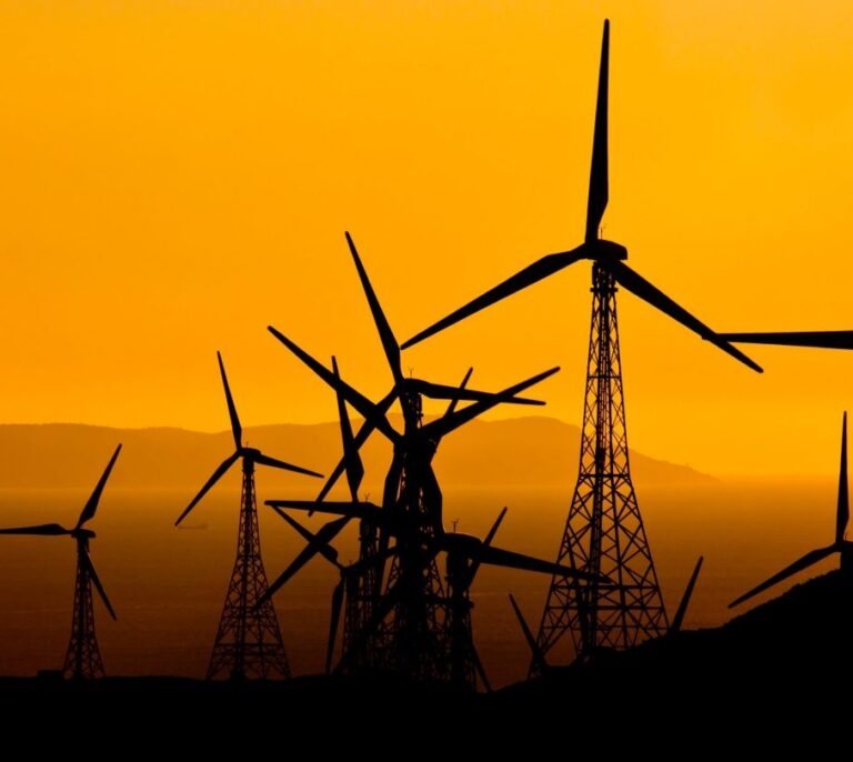 Así derrotó a las grandes eléctricas el nuevo rey de las renovables