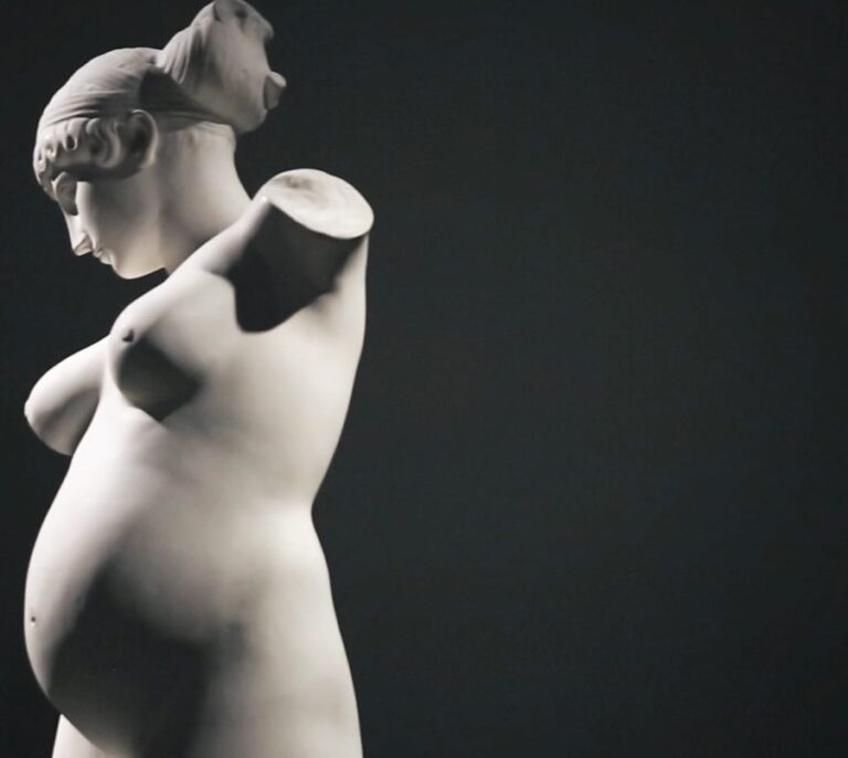 La venus con pene y otros laberintos corporales