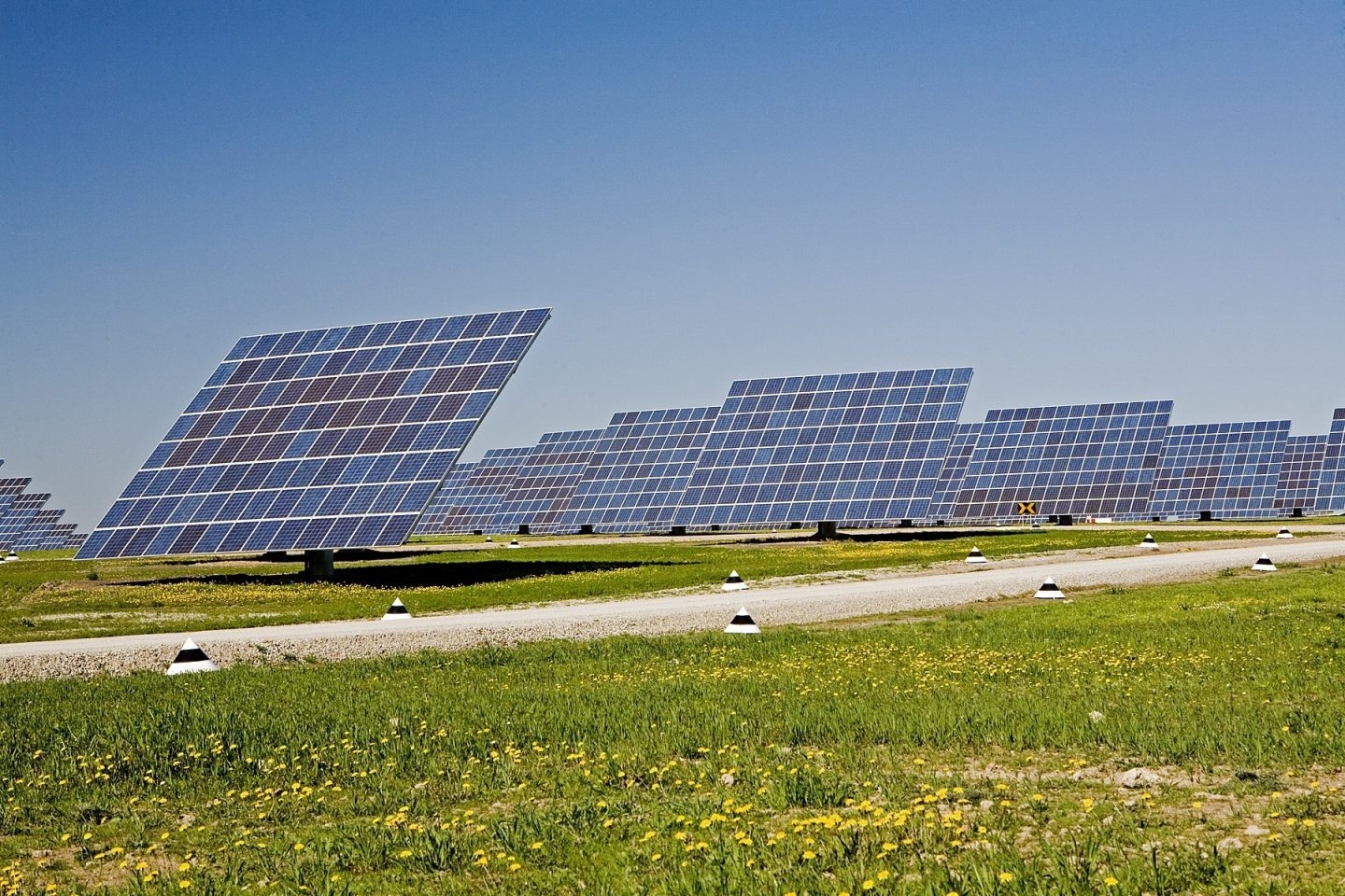 Forestalia estudia ir a la nueva ‘megasubasta' renovable… pero ahora a por la fotovoltaica