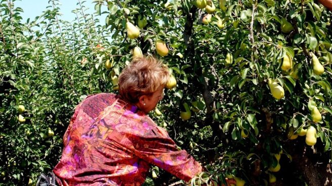Se buscan abuelas que transmitan sus conocimientos ecológicos tradicionales