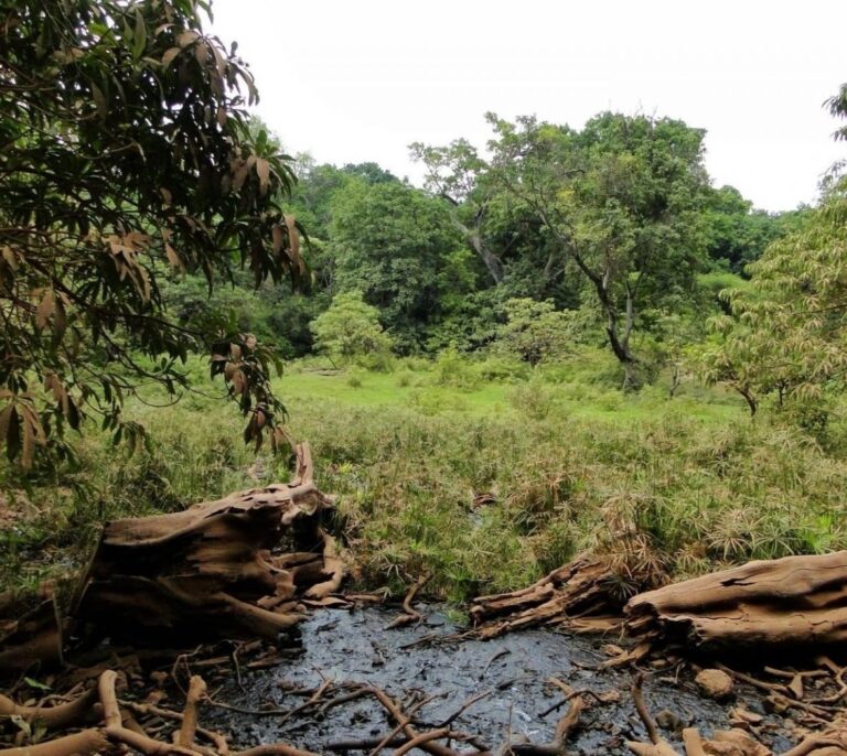 Los primeros humanos prevalecieron porque conocían los manantiales