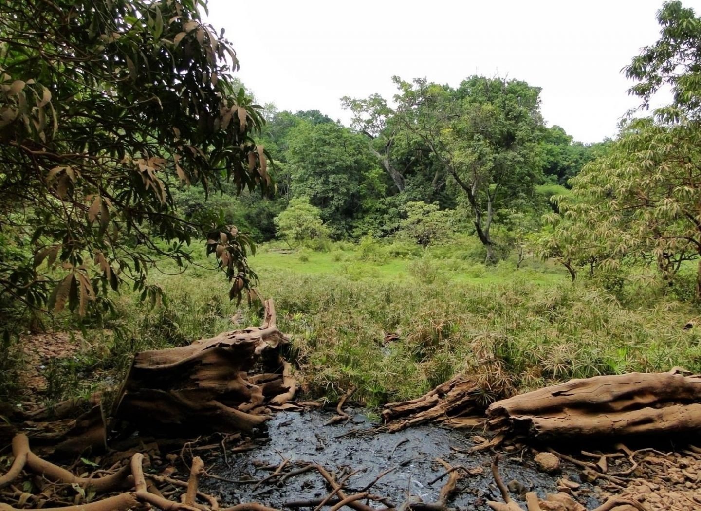 Los primeros humanos prevalecieron porque conocían los manantiales