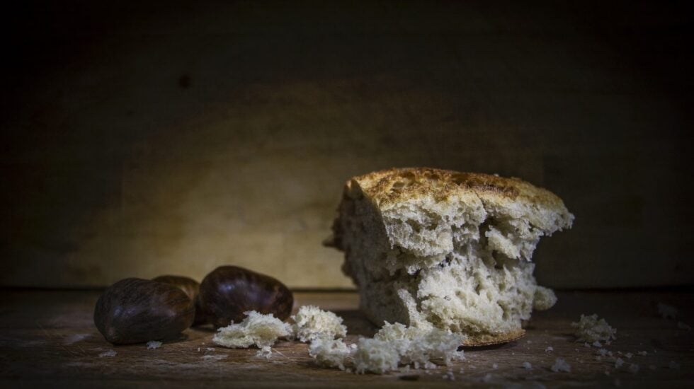 Mendrugo de pan con gluten