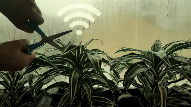Plantas emiten señales químicas para avisar a sus compañeras Plantas emiten señales químicas para avisar a sus compañeras