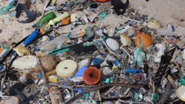 Henderson, la isla paradisíaca con más basura del mundo