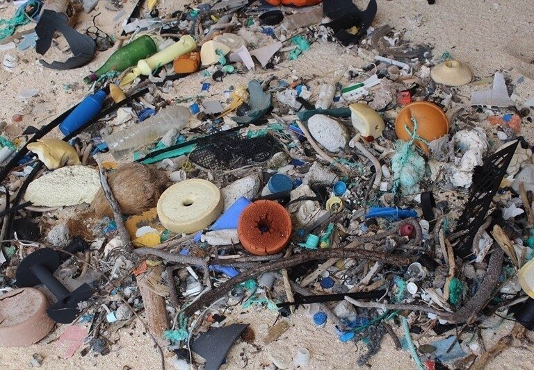 Henderson, la isla paradisíaca con más basura del mundo