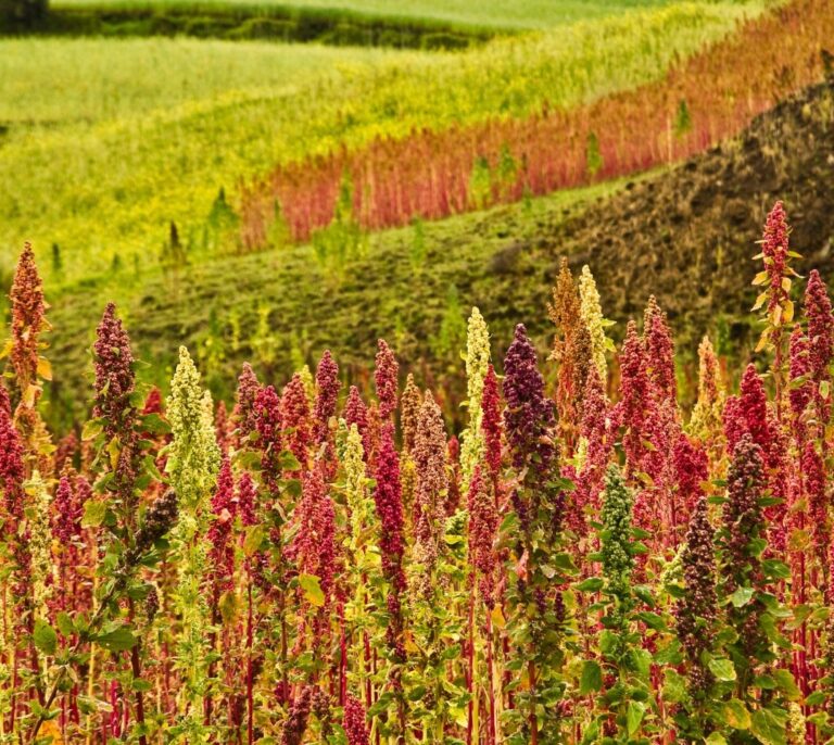 La humanidad habrá agotado mañana los recursos naturales anuales de la Tierra