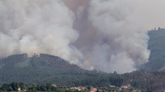 Incendio en los bosques de Figueiro dos Vinhos, en el centro de Portugal.