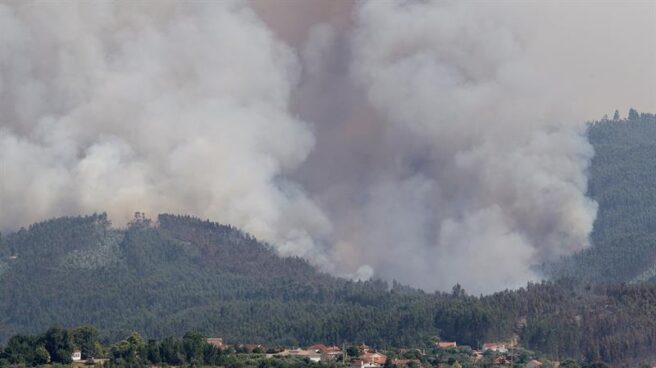 Aumenta a 62 el número de fallecidos por un incendio forestal en Portugal