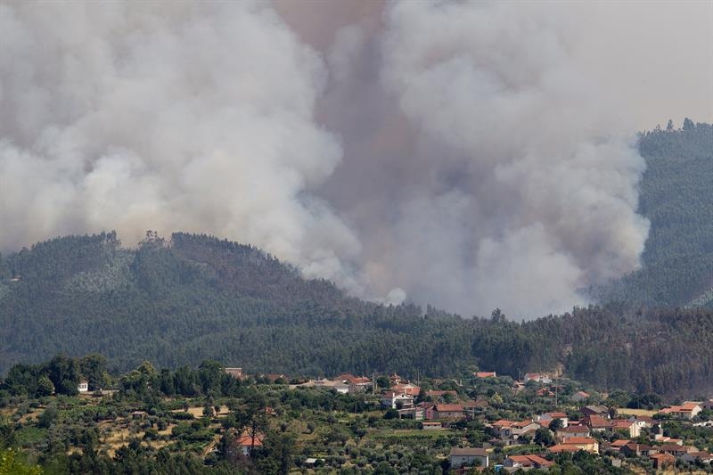 Incendio en los bosques de Figueiro dos Vinhos, en el centro de Portugal.