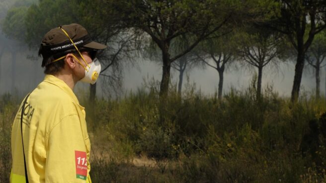 El incendio en el entorno de Doñana afectó a 8.486 hectáreas