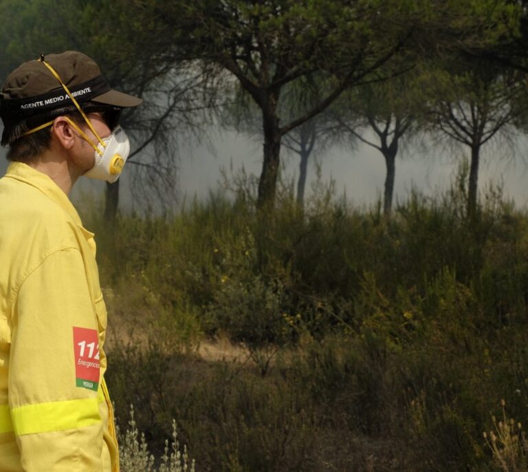 El incendio en el entorno de Doñana afectó a 8.486 hectáreas