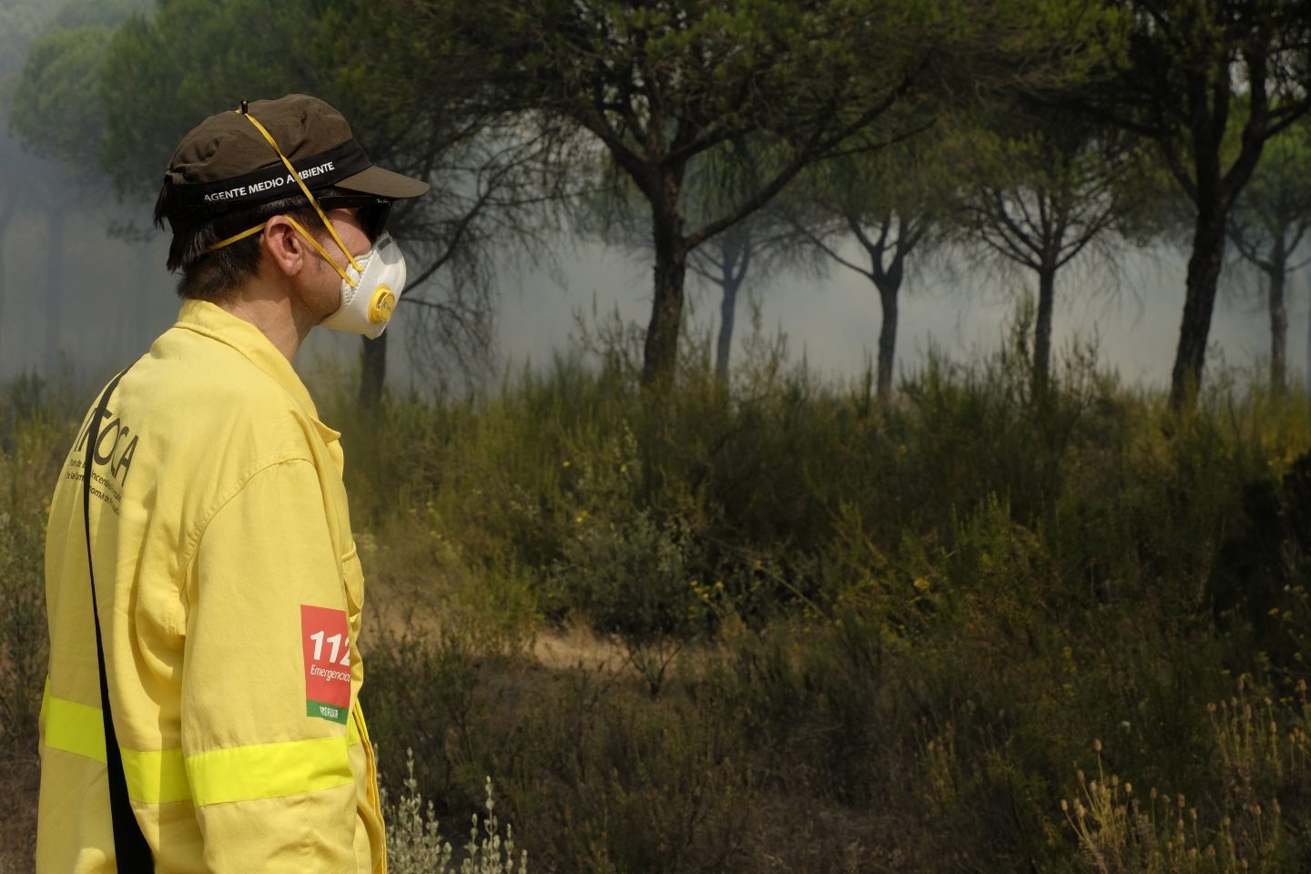 El incendio en el entorno de Doñana afectó a 8.486 hectáreas