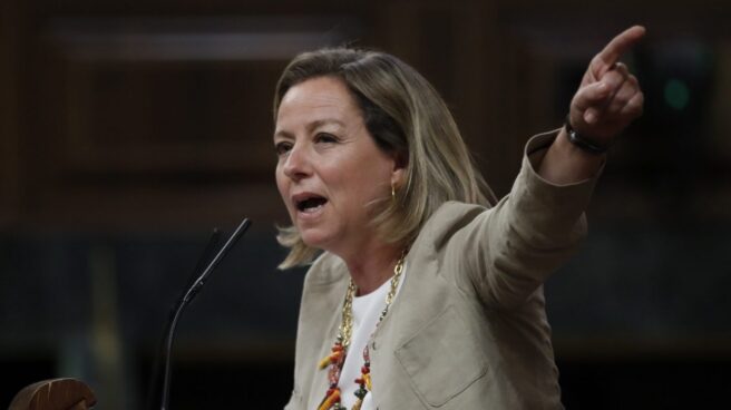 La diputada de Coalición Canaria Ana Oramas. La diputada de Coalición Canaria Ana Oramas.
