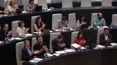 PP, PSOE y C's reprueban a los concejales de Ahora Madrid Sánchez Mato y Mayer