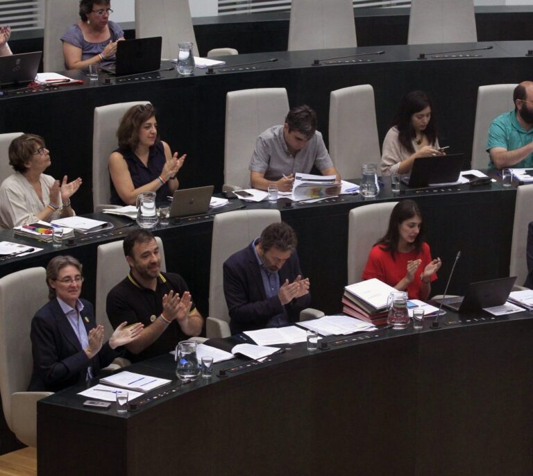 PP, PSOE y C's reprueban a los concejales de Ahora Madrid Sánchez Mato y Mayer