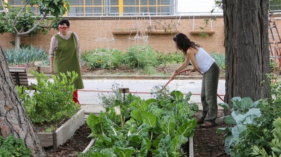 "En un huerto urbano solo hacen falta agua y amigos", dice un hortelano.