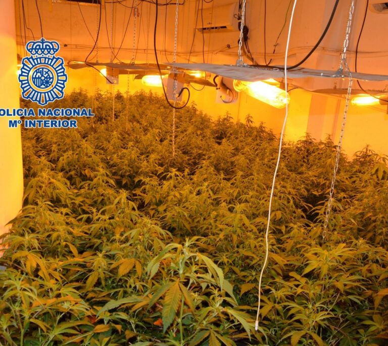 Una juez acepta como consumo propio partidas de 12,7 kilos de marihuana